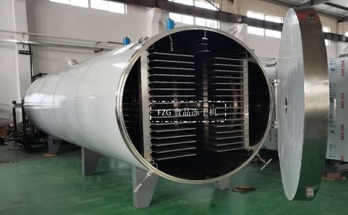 大型食品凍干機(jī)交付廣西，賦能果蔬凍干深加工技術(shù)升級(jí)